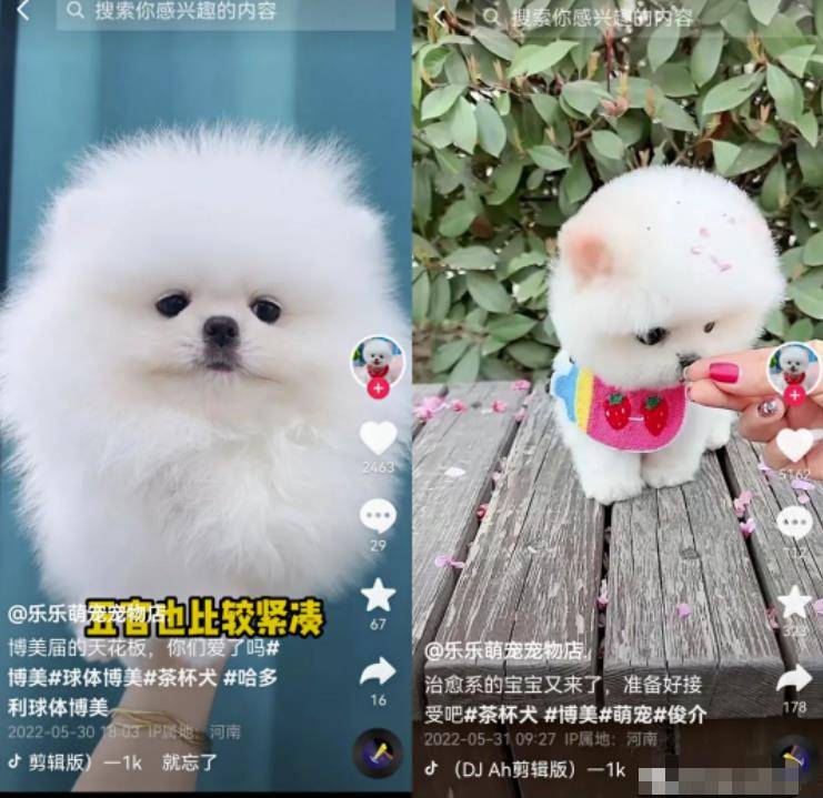 [短视频运营] 无脑短视频搬砖赚钱思路，轻松月入1W+，在家即可躺赚！