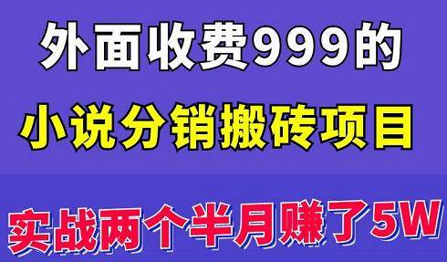 小说搬砖项目外面收费999：两个月实战赚了5万！