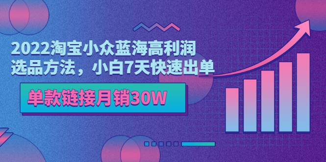 22年蓝海高利润淘宝小众选品方法，单款链接月销30W，小白7天快速出单