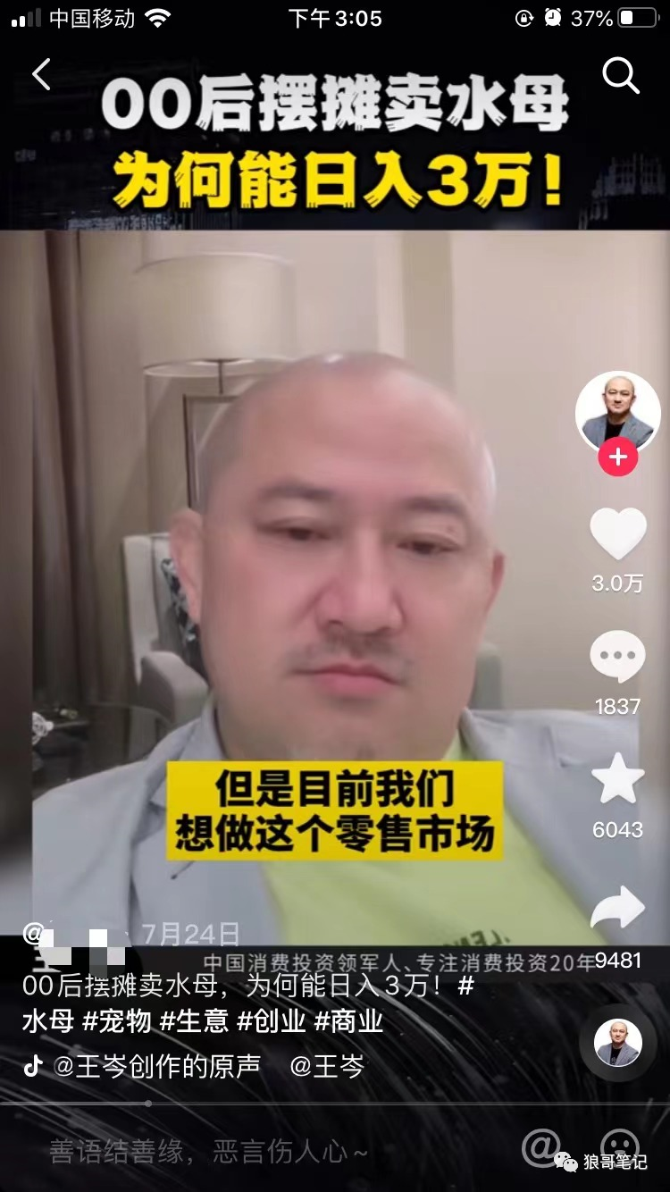 一只小小的水母活体，居然也能卖疯！（水母活体多少钱）