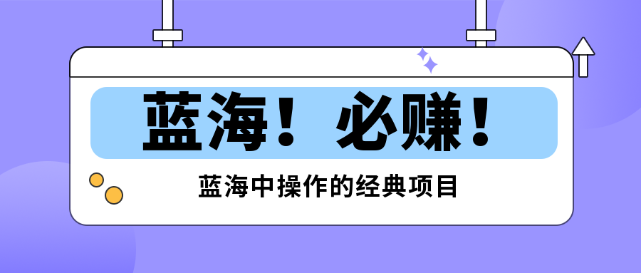 24一单,月销100+,蓝海中操作经典项目。