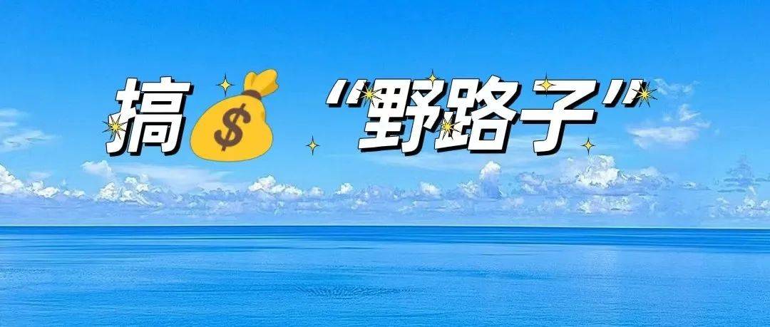 适合普通人搞钱的“野路子”