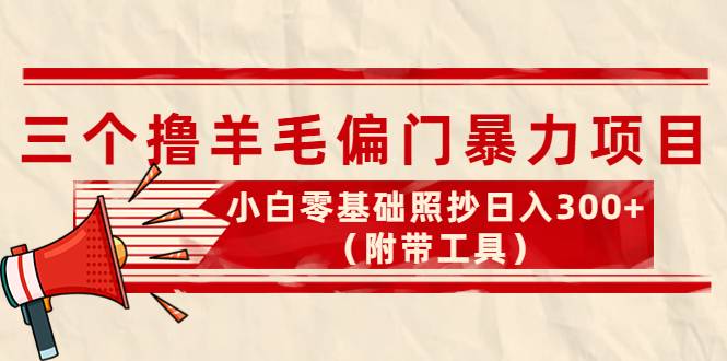 外面卖998的三个撸羊毛偏门暴力项目，小白零基础照抄日入300+（附带工具）