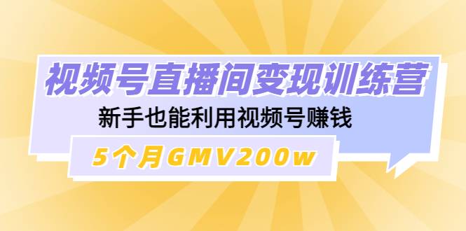 视频号直播间变现训练营：新手也能利用视频号赚钱，5个月GMV200w