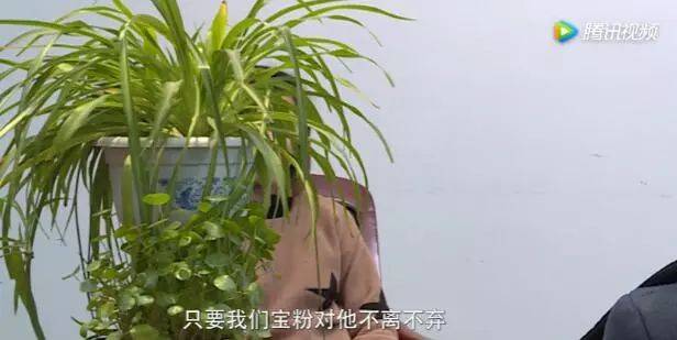 钱宝网签到怎么挣钱-我是怎么被钱宝网张小雷俘虏的丨亲述