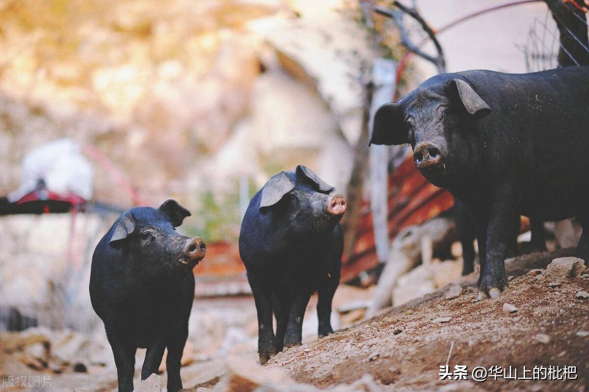 怎么用一台电脑赚钱是真的吗-我想月入5万，却不知道从何做起，真的有这样的好事吗？