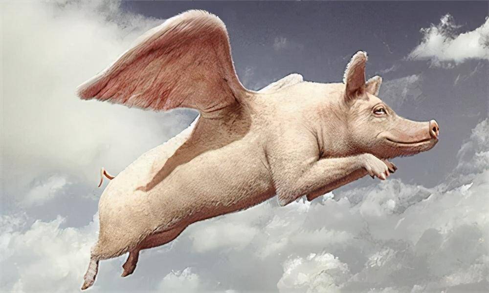 淘金平台怎么赚钱-跟风挖金子,不如轻松卖铲子丨读懂铲子经济