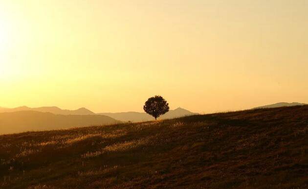 分享一波需要执行力的引流方法
