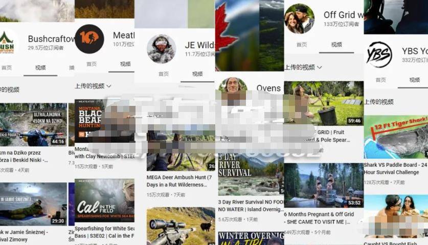 [网赚项目] 海外视频搬运变现，新手简单操作也能赚钱！