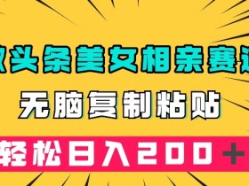 微头条冷门美女相亲赛道，无脑复制粘贴，轻松日入200＋【揭秘】