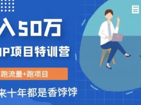 创业IP年入50W核心方法，未来10年最值得做的项目【揭秘】