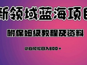 虚拟资源蓝海领域新项目，轻松日入800＋，附保姆级教程及资料