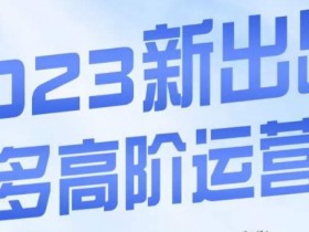 大炮·多多高阶运营课，3大玩法助力打造爆款，实操玩法直接亮出干货