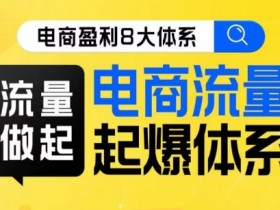 8大体系流量篇·流量做起，电商流量起爆体系线上课