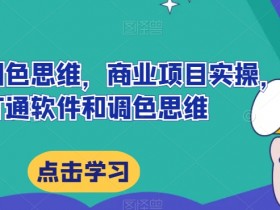达芬奇调色思维，商业项目实操，打通软件和调色思维