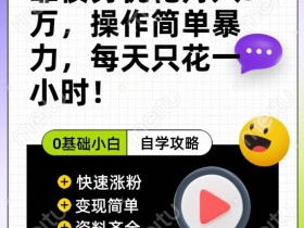 靠债务优化月入五万，每天只要花两个小时，多种方式轻松变现【揭秘】