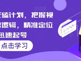 视频号死磕计划，把握视频号运营逻辑，精准定位迅速起号