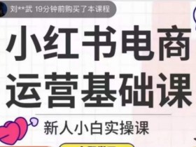小红书电商运营基础课，新人小白实操课