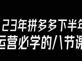 大牙·23年下半年拼多多运营必学的八节课（18节完整）