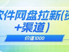 价值1000免费送ai软件实现uc网盘拉新（教程+拉新最高价渠道）【揭秘】