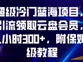 超级冷门蓝海项目，引流领取云盘会员，1小时300+，附保姆级教程