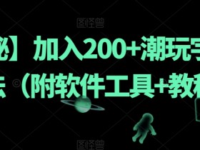 【揭秘】加入200+潮玩宇宙新玩法（附软件工具+教程）