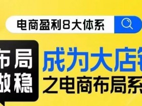 八大体系布局篇·布局做稳，成为大店的电商布局线上课