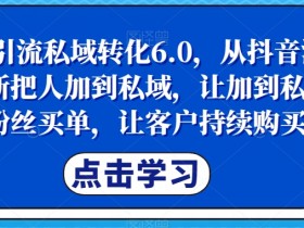 抖音引流私域转化6.0，从抖音源源不断把人加到私域，让加到私域的粉丝买单，让客户持续购买