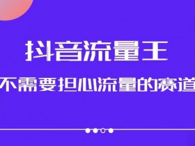 抖音流量王，不需要担心流量的赛道，美女图文音乐号升级玩法（附实操+养号流程）