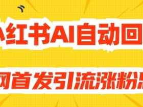 【原创开发】小红书AI自动回复，全网首发引流涨粉思路