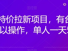 京喜特价拉新新玩法，有台电脑就可以操作，单人一天500+【揭秘】