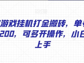 WOW游戏自动运行打金搬砖，单号日入150-200，可多开操作，小白轻松上手【揭秘】