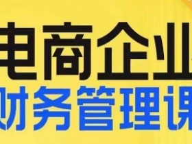 电商企业财务管理线上课，为电商企业规划财税