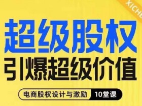 超级股权引爆超级价值，电商股权设计与激励10堂线上课