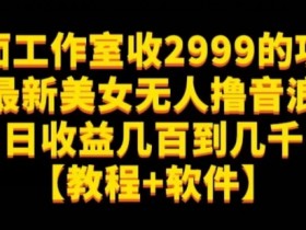 外面工作室收2999的项目最新美女无人撸音浪日收益几百到几千【教程+软件】（仅揭秘）