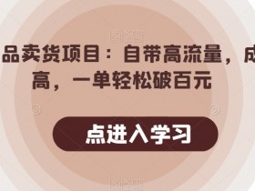 情趣用品卖货项目：自带高流量，成单率高，一单轻松破百元