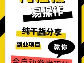 全自动游戏租赁，实操教学，手把手教你月入3万+