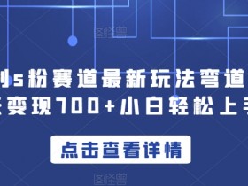 yw计划s粉赛道最新玩法弯道超车单天变现700+小白轻松上手