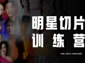 王子·明星切片线上训练营（2023），和明星一起拿红利，让明星为我们赚钱