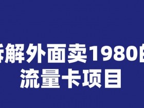 宝哥拆解外面卖1980手机流量卡项目，0成本无脑推广