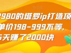 收费2980的塔罗ip打造项目，单价198-999不等，5天赚了2000块【揭秘】
