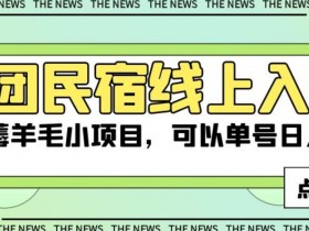 美团民宿线上入住，最新薅羊毛小项目，可以单号日入50+【揭秘】