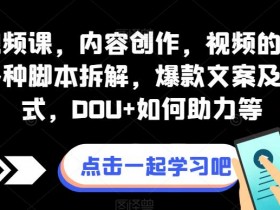 全案视频课，内容创作，视频的底层逻辑，各种智能托管拆解，爆款文案及视频形式，DOU+如何助力等