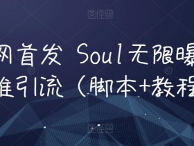 全网首发 Soul无限曝光精准引流（智能托管+教程）