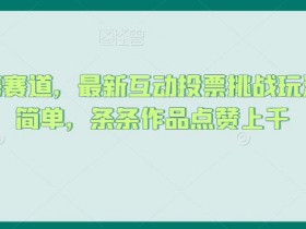 抖音蓝海赛道，最新互动投票挑战玩法，制作简单，条条作品点赞上千【揭秘】