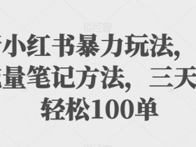 最新小红书暴力玩法，独家拉流量笔记方法，三天新号轻松100单【揭秘】