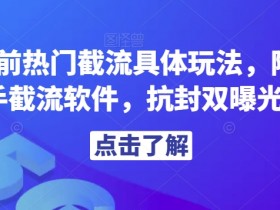 解析当前热门截流具体玩法，附赠全新快手截流软件，抗封双曝光智能托管【揭秘】