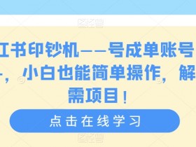 小红书印钞机——号成单账号月入5k+，小白也能简单操作，解决刚需项目【揭秘】