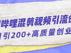 哔哩哔哩B站混剪视频引流创业粉日引300+