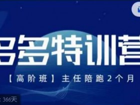 纪主任·多多特训营高阶班【9月13日更新】，拼多多最新玩法技巧落地实操